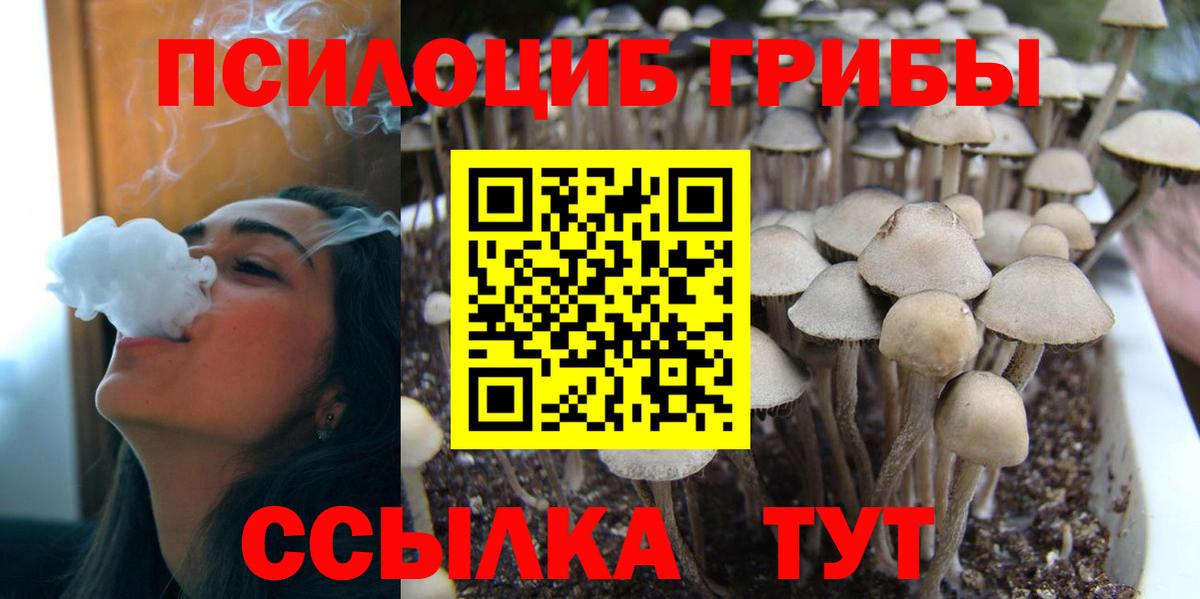 Галлюциногенные грибы MAGIC MUSHROOMS Родники